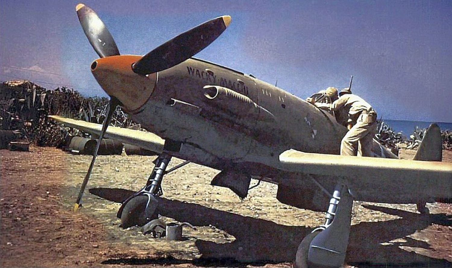 Macchi-202-captured-and-renamed-Sicily-1