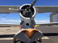 duck010