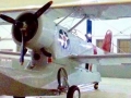 duck067