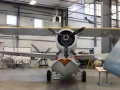 duck079