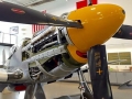 mustang021