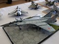 IMG_8046