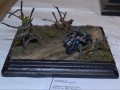 PCDV_0370