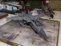 PCDV_0379