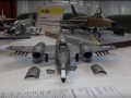 PCDV_0380