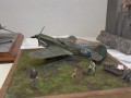 PCDV_0389