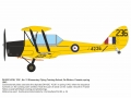 tiger2