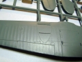 bobcat006