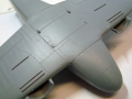 bobcat017