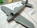 bobcat019