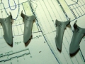 bobcat021