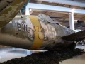 buffallo023
