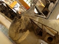 buffallo031