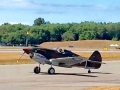 p-40004