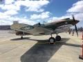 p-40071