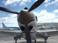 p-40074