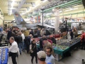 th_Halle_2426