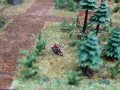 th_IMG_2436