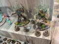 th_IMG_1704