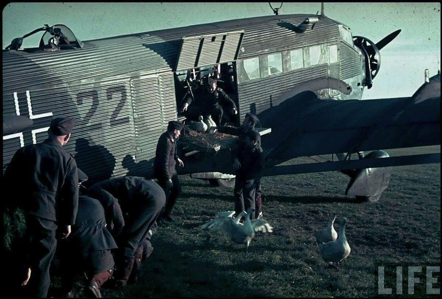 luftwaffe031