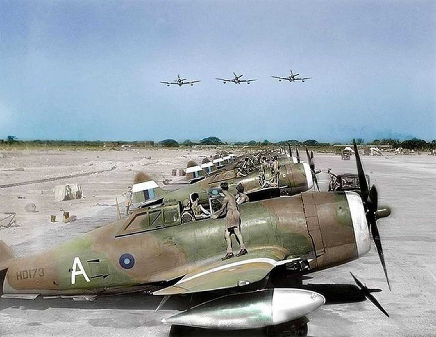 raf005