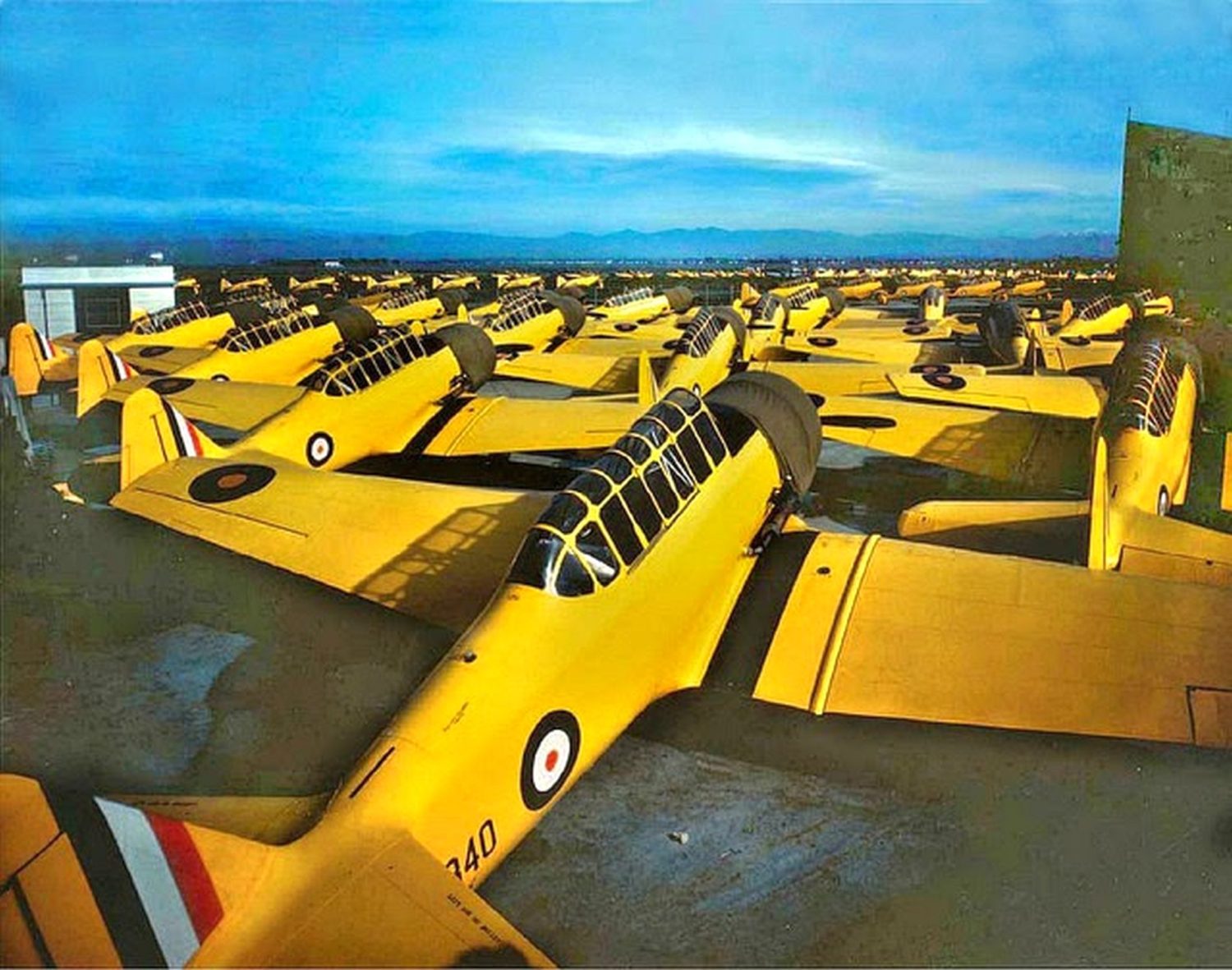 raf008