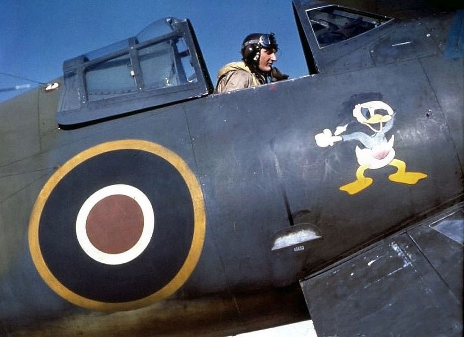 raf055