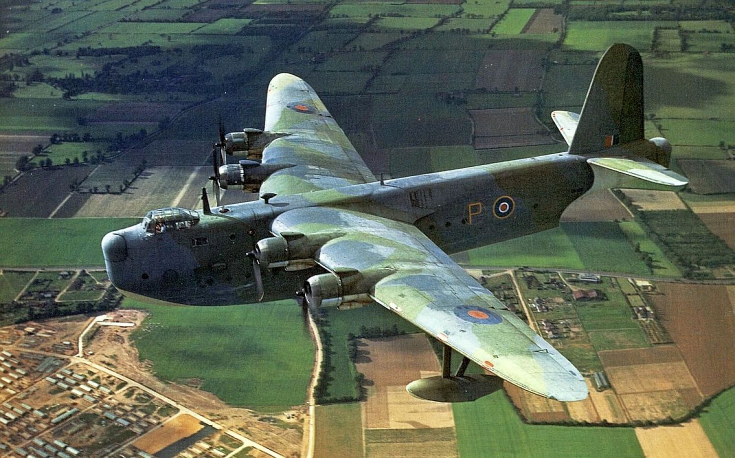 raf087