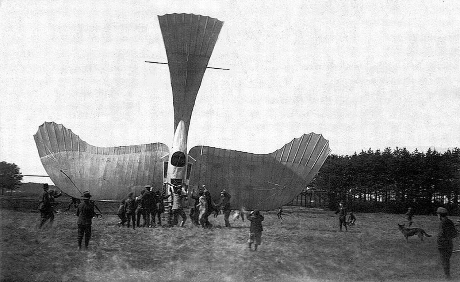 wwi154