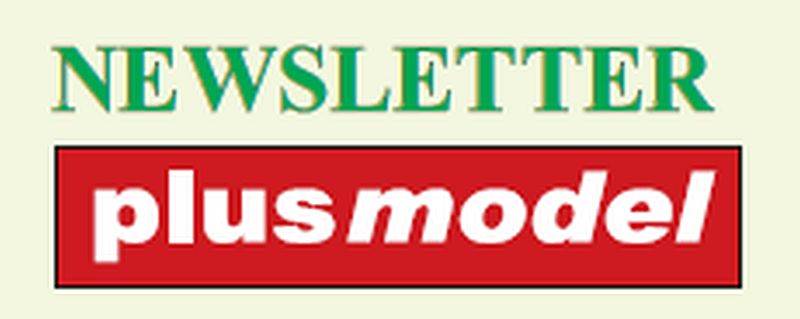 PLUSMODEL NEWSLETTER NA LISTOPAD
