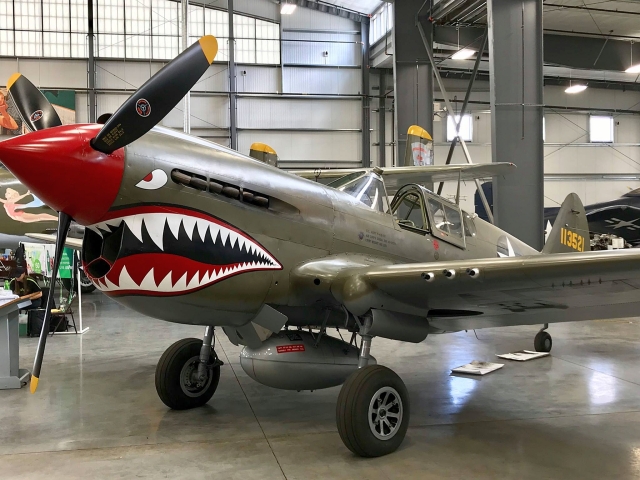 CURTISS P-40E WARHAWK WALKAROUND