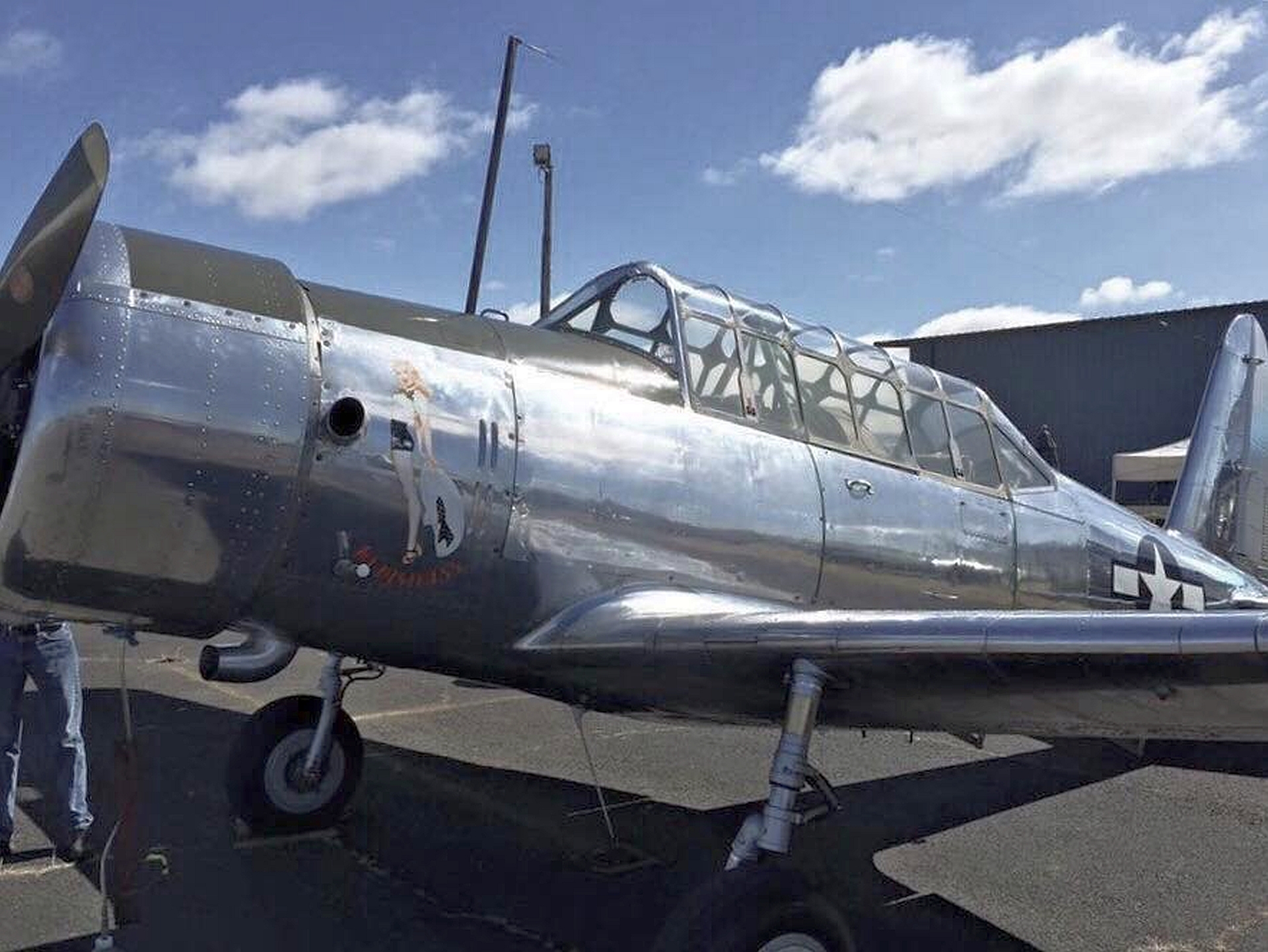 VULTEE BT-13 VALIANT WALKAROUND