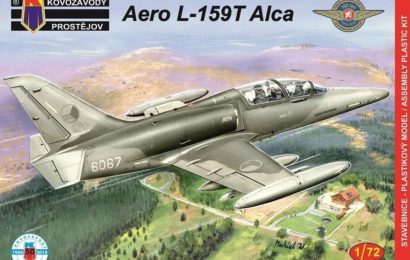 LOW VISIBILITY ZNAKY NA LETOUNECH L-159 ALCA