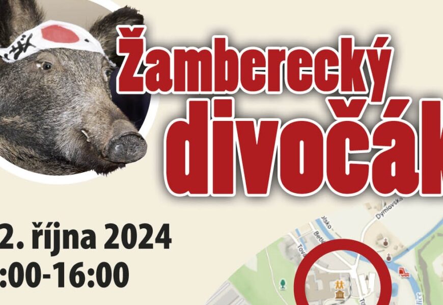ŽAMBERECKÝ DIVOČÁK 2024
